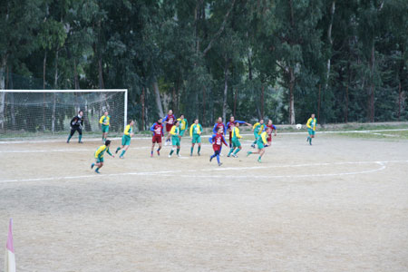 alimena_cheguevara-3