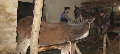 IMG_3551