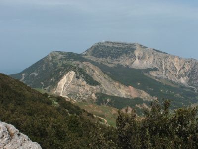 monte cammarata