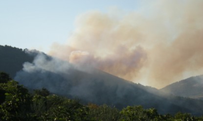 incendio ssq (Zambito)