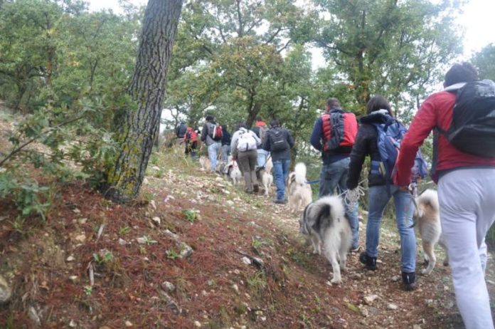 II° dogtrekking (2)