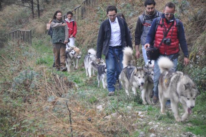 II° dogtrekking (4)