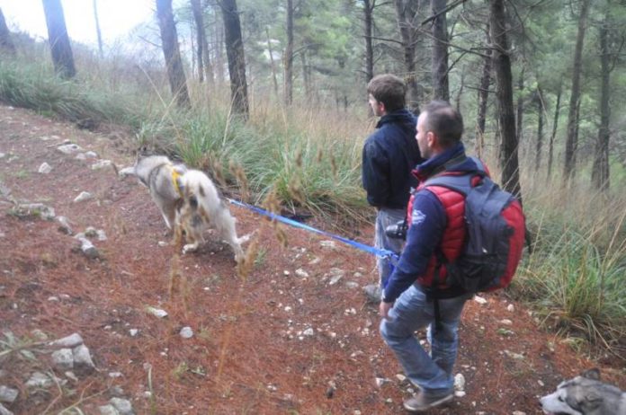 II° dogtrekking (5)