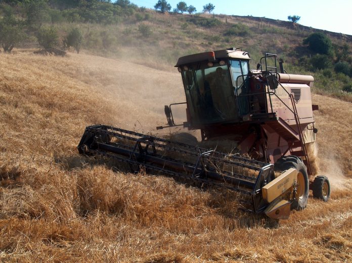 trebbiatura grano