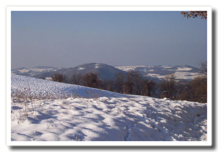neve