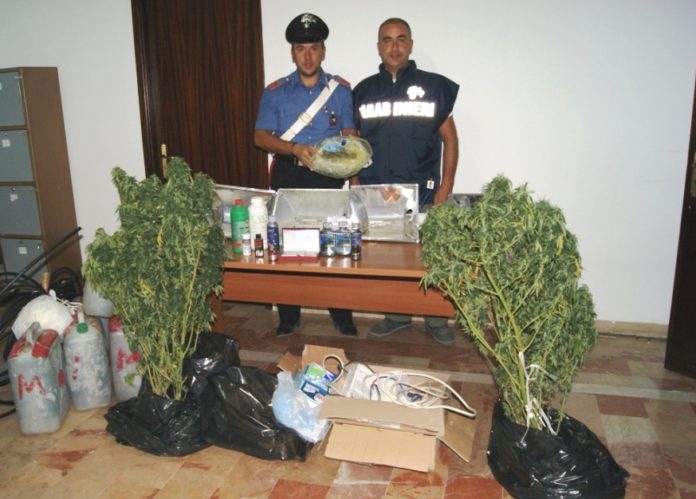 arresto bivona 29 agosto 2012