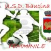 Logo U.S.D. Baucina