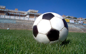 pallone_erba