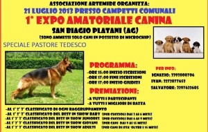 expò canina san biagio platani