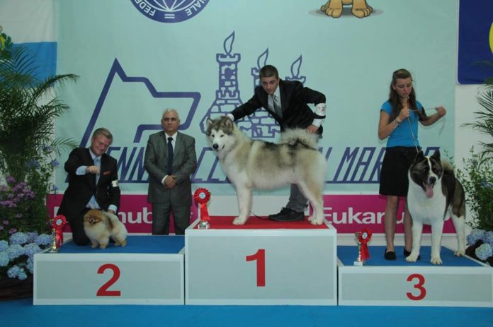 siku