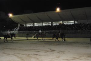 ok[1]FOTO 2