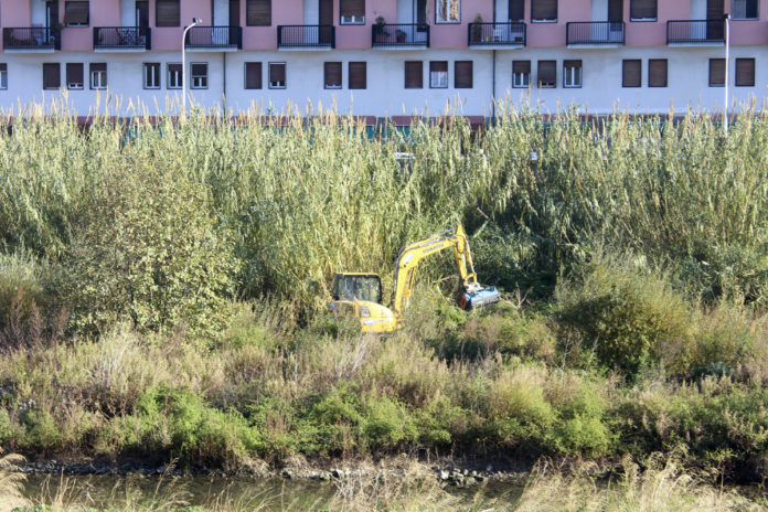 lavori-corso-d'acqua