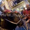 Gesu nazareno 2014 acchianata (22)