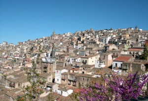 prizzi