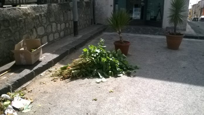 Vittorio Catania 2