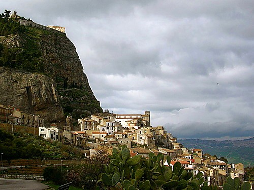 sutera rabato
