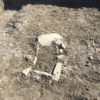 scavi archeologici castronovo1