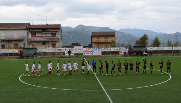 DSC_0812-604x345