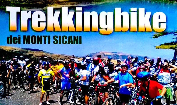 trekkingbike1