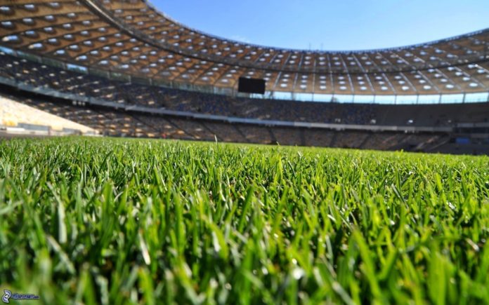 campo-di-calcio,-stadio-159499 (1)