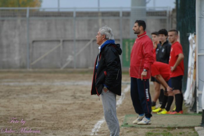 vincenzo sorce