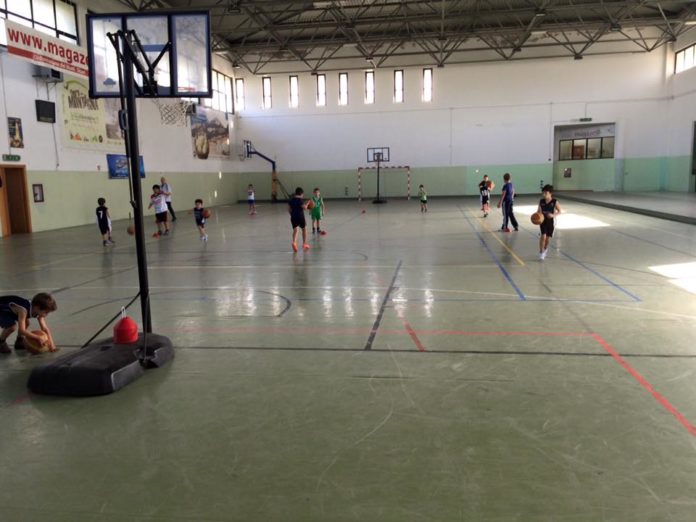 pallacanestro