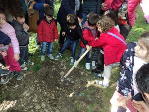 Festa dell'albero santo stefano quisquina