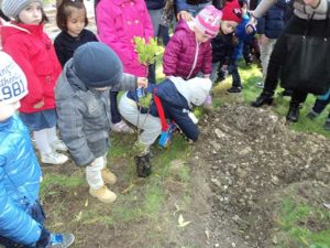 Festa dell'albero santo stefano quisquina