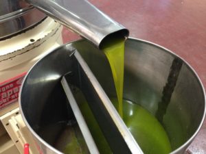 Olio IGP Sicilia