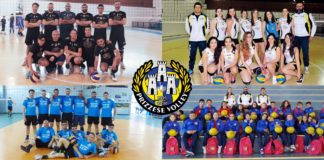 prizzi, volley