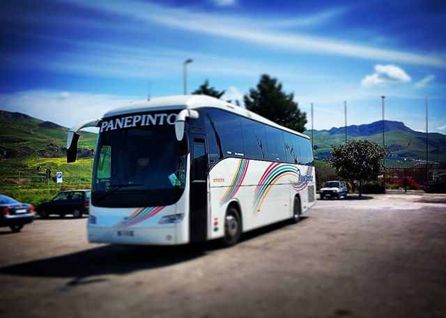panepintobus_2016-04-22_13-25-14