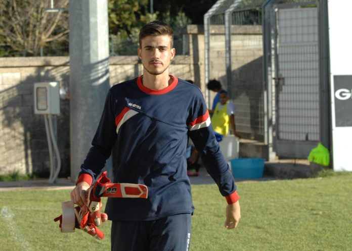 mirko de miere