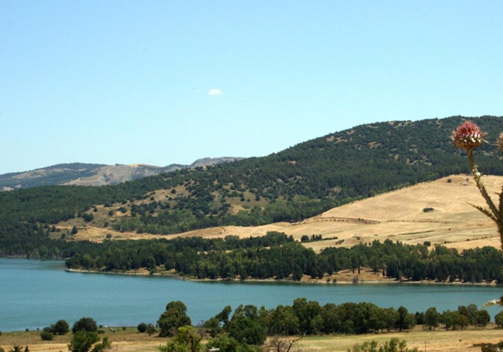 Parco-Monti-sicani-1024x721