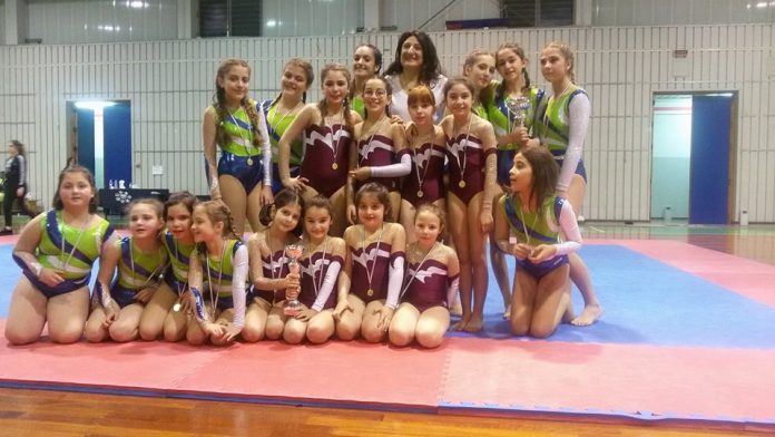 GINNASTICA ARTISTICA