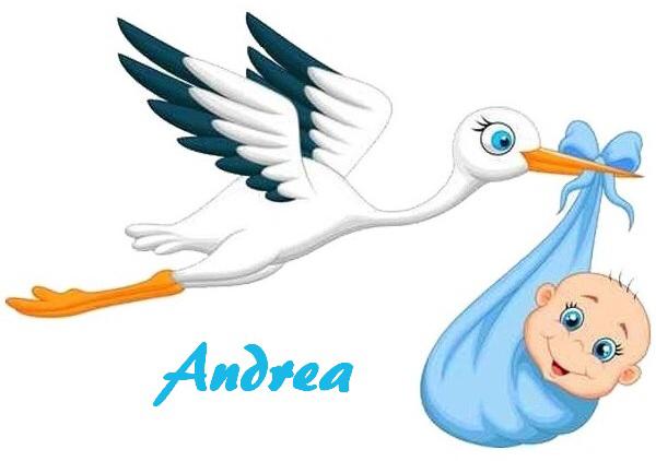 e nato andrea