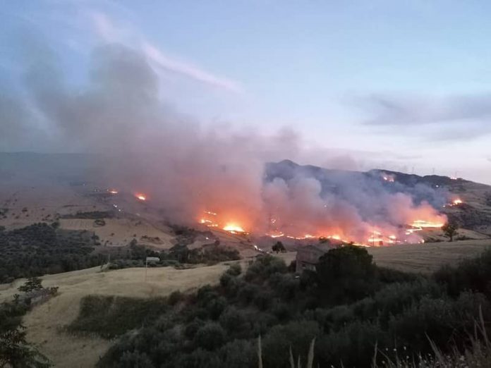 Incendio-Troina-1