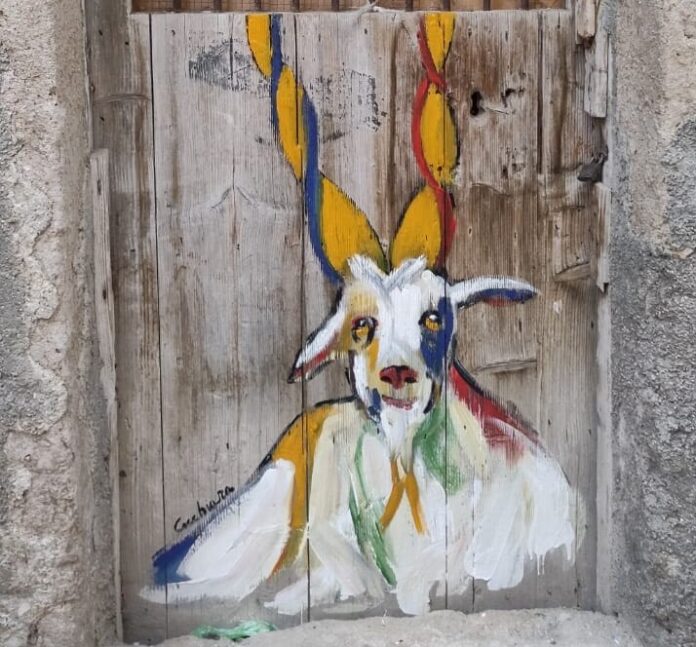 Capra girgentana_3 (1)