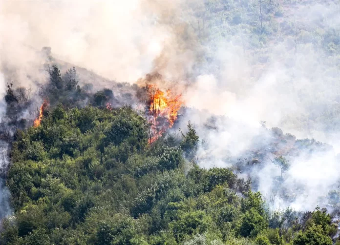 incendi sicilia
